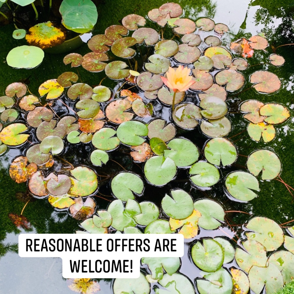 Reasonable offers welcome!